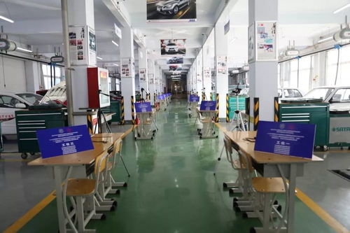 汽車(chē)運(yùn)用與維修新紀(jì)元 智能新能源汽車(chē)職業(yè)技能等級(jí)證書(shū)試點(diǎn)考評(píng)圓滿成功